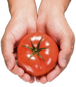 tomato-healthy nails