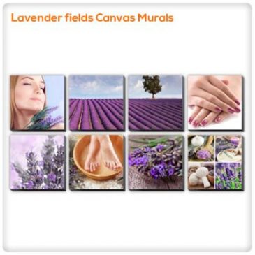 Effects of Lavender