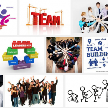 Build a Great Team for Your Business